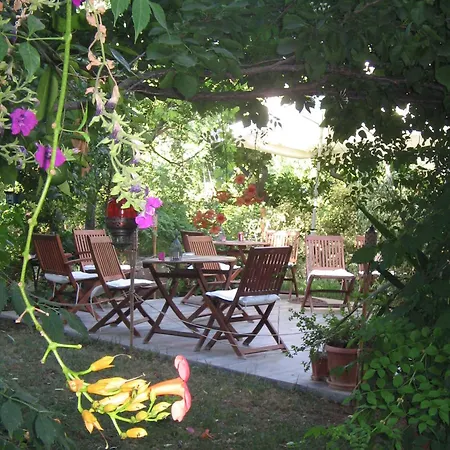 Gulec Bodrum