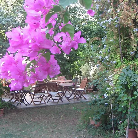Hotel Gulec 2*