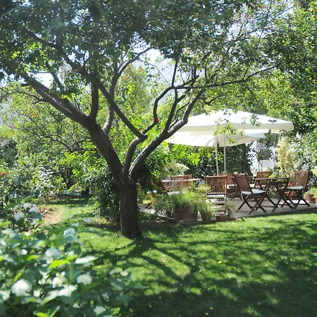 Gulec Bodrum