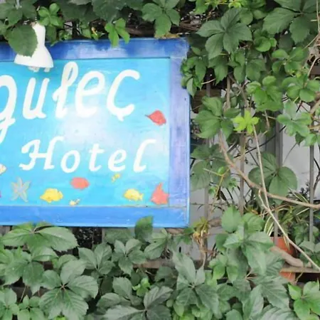 Gulec Otel 2*