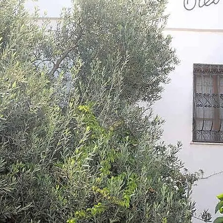 Hotel Gulec